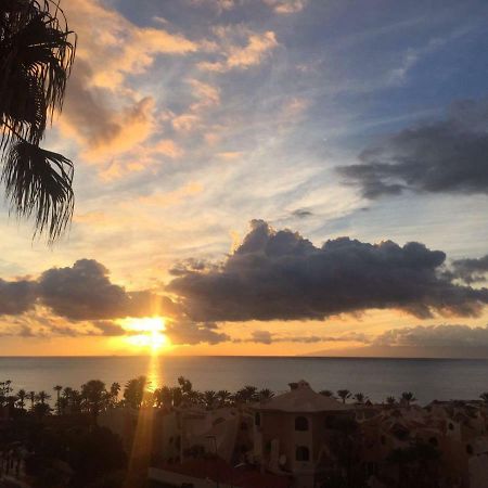 Holidays In Playa De Las Americas أرونا المظهر الخارجي الصورة